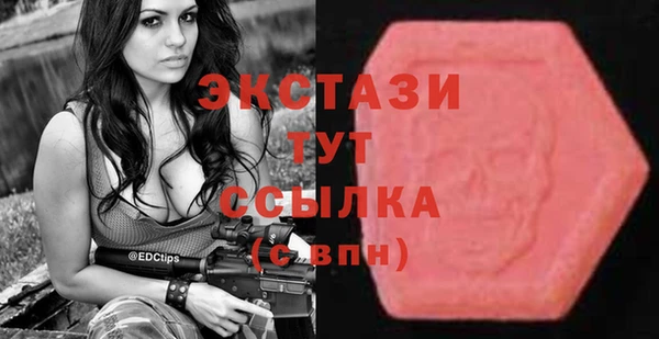 стаф Алзамай