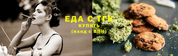 тгк Алексин