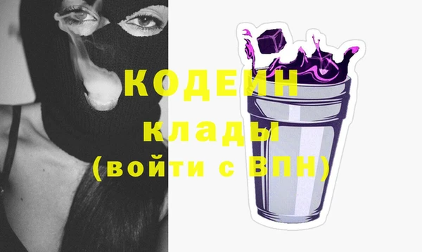 стаф Алзамай
