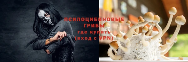 тгк Алексин