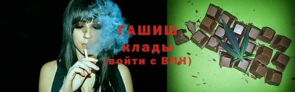 стаф Алзамай