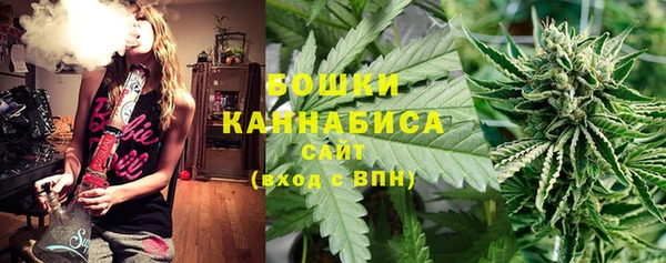прущая мука Пересвет