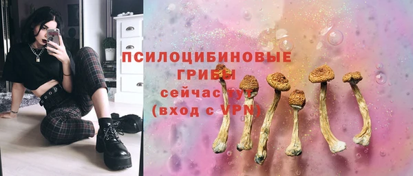 стаф Алзамай