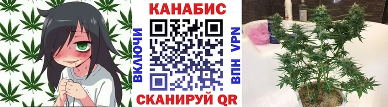Марихуана конопля Мещовск